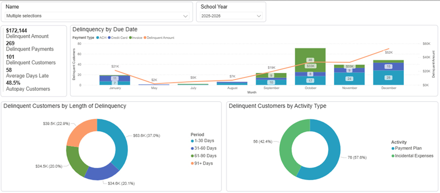 Delinquency Dashboard